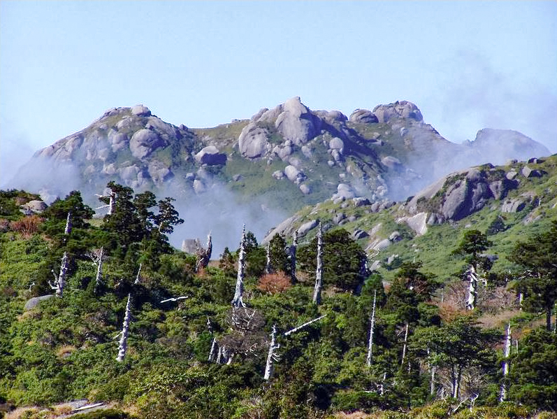 屋久島の山